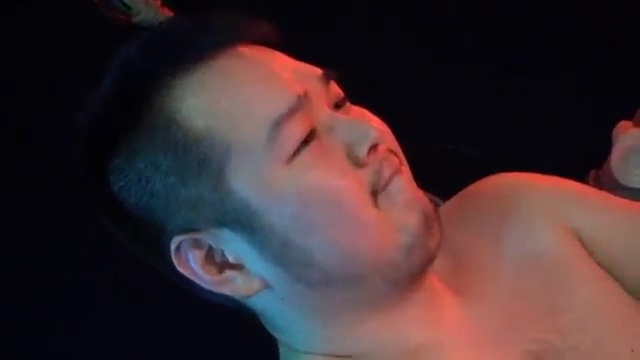 可爱的胖熊[322M]