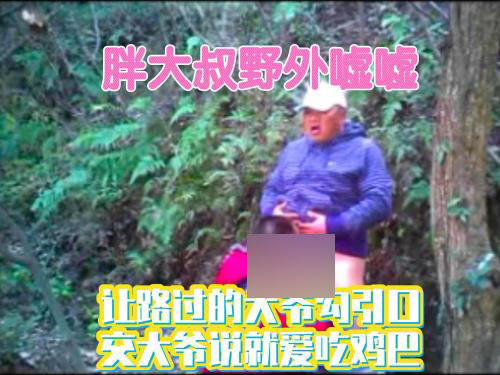 胖大叔野外嘘嘘，勾引路过的大爷口[65M]