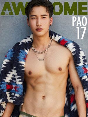 Awesome 17 | PAO[1G]