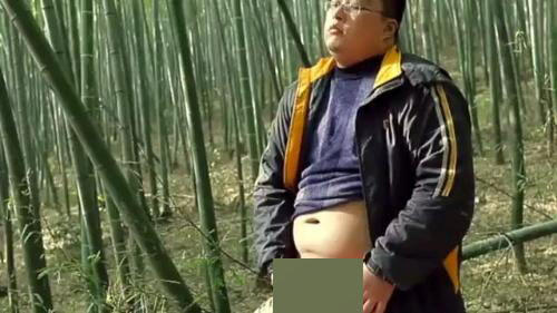 熊男大叔户外打飞机回到酒店继续玩[243M]