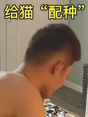快乐风男：给猫配种[1.68G]