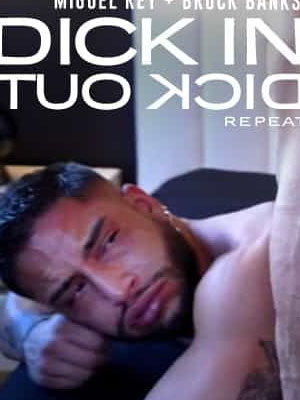 Dick In Dick Out Repeat[磁链/1.11G]