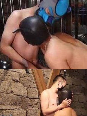 坏狗狗 三人行[107M]