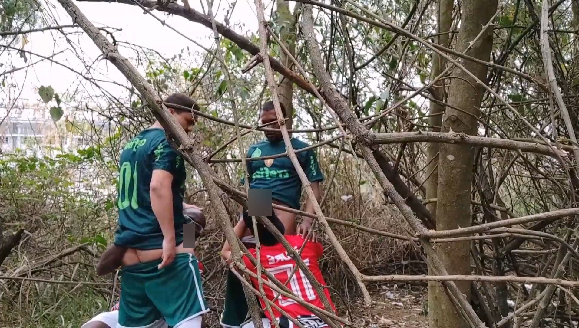 在树林里，尽情欢愉[583M]