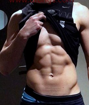 大一腹肌精牛[469M]