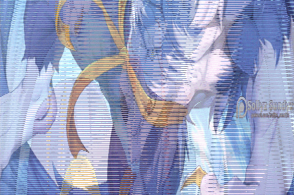 Sollyz Sundyz【Jon Talbain】[250M]