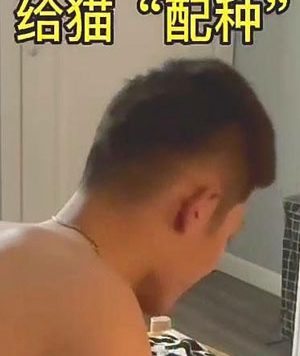 快乐风男：给猫配种[1.68G]