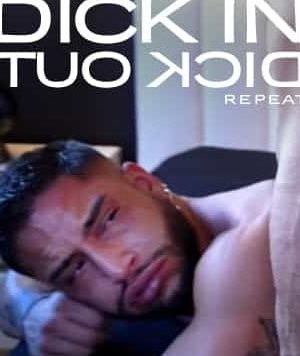 Dick In Dick Out Repeat[磁链/1.11G]