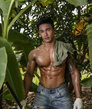 The Farmer 01+02[649M]