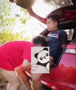 大鸡攻野战车震[67M]