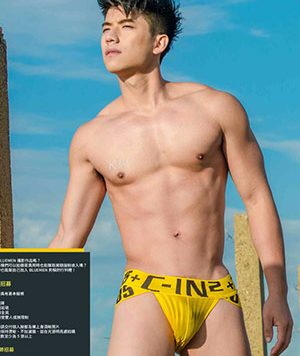 Original Photo 原色 No.1[254M]